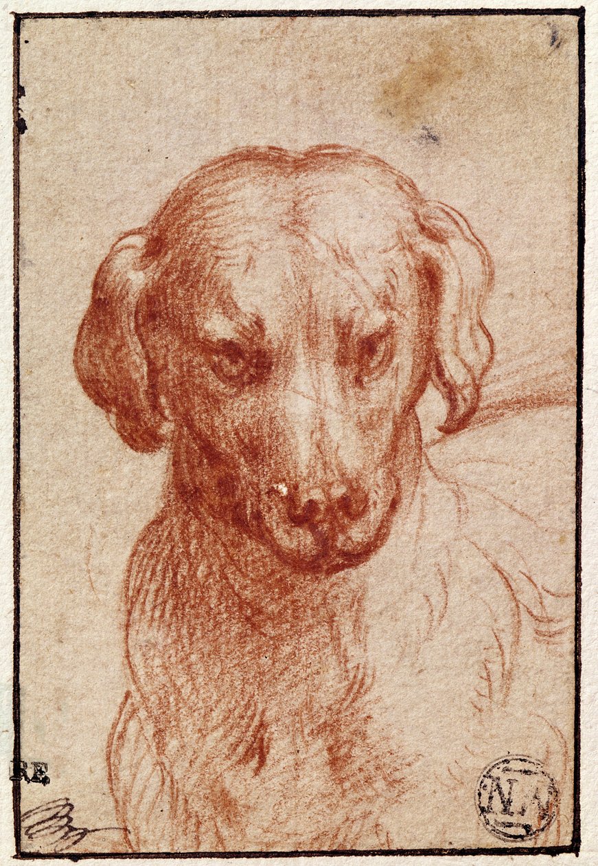 Cabeça de um cachorro (giz vermelho sobre papel) de Parmigianino