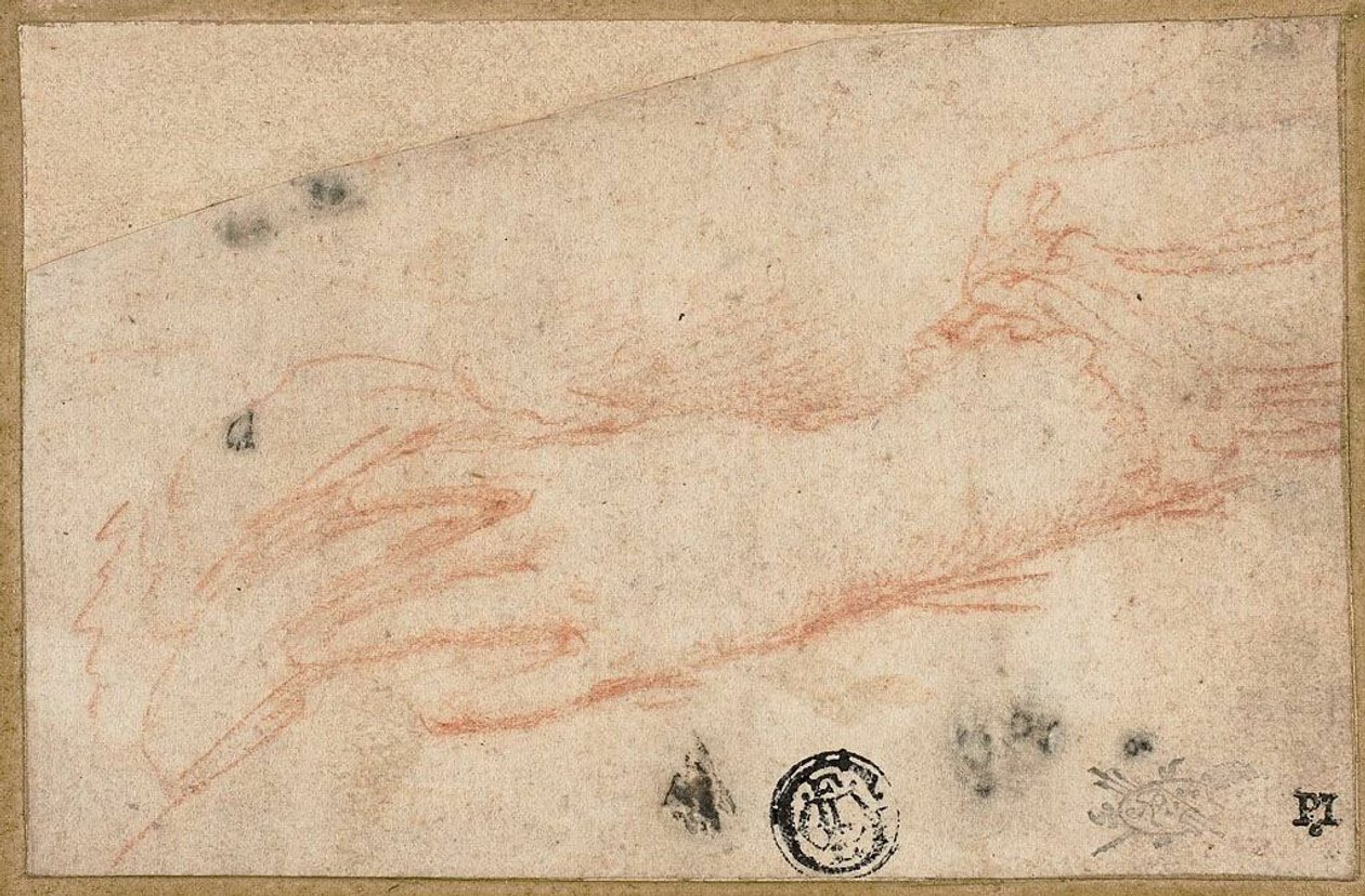 Esboço da mão e do pulso esquerdos de Parmigianino