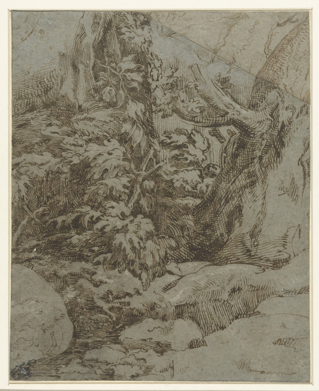 Estudo de uma paisagem de Parmigianino