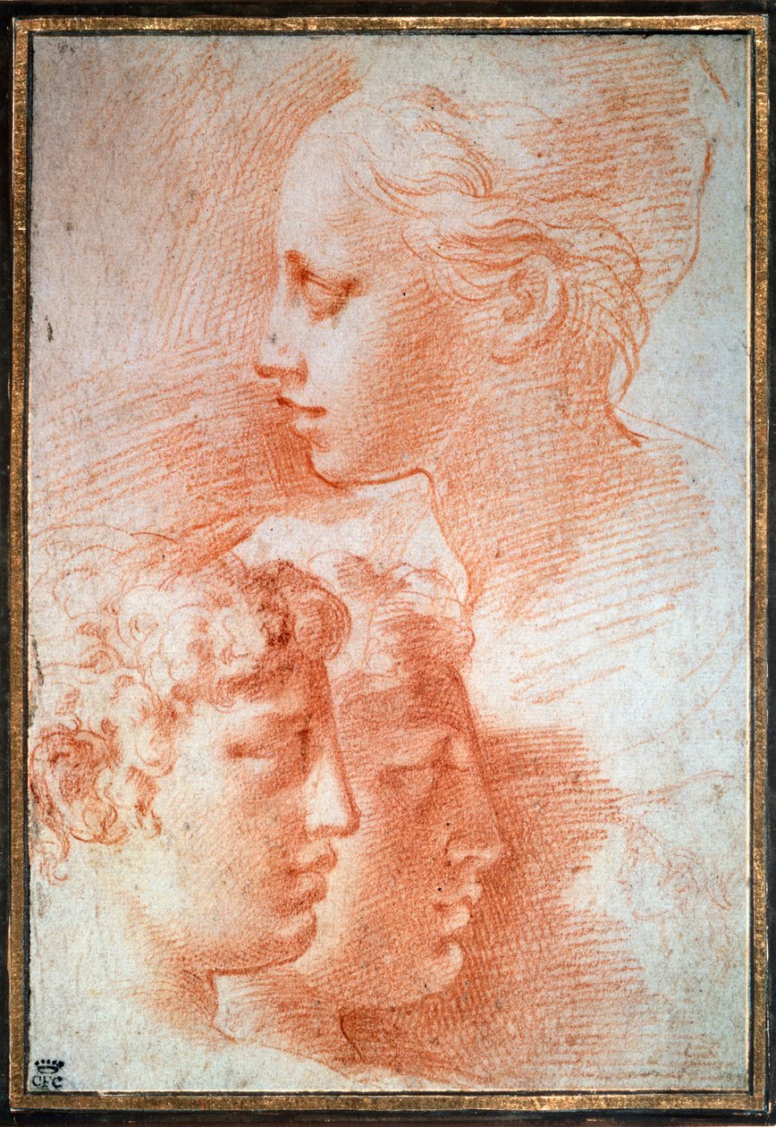 Estudo das cabeças, c1527 de Parmigianino