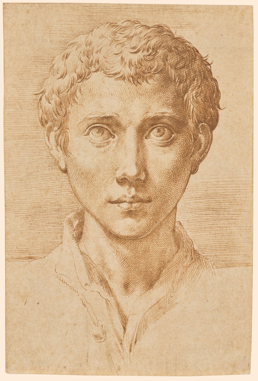 A cabeça de um jovem de Parmigianino