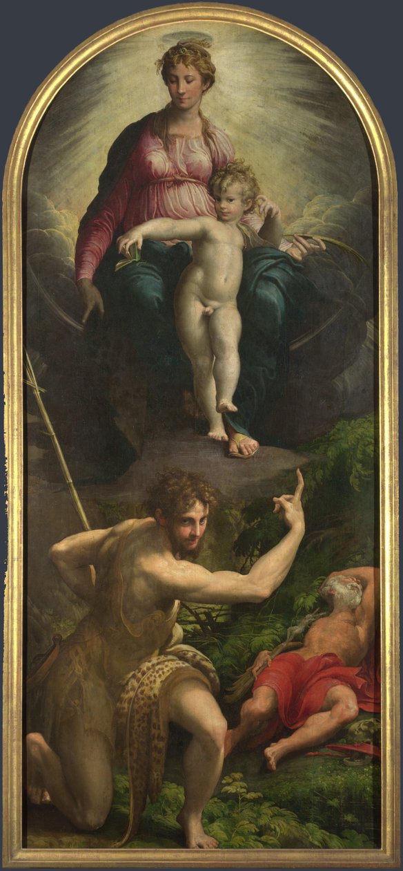 A Madona e o Menino com os Santos João Batista e Jerônimo, 1527 de Parmigianino