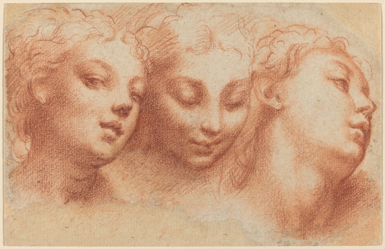 Três cabeças femininas de Parmigianino