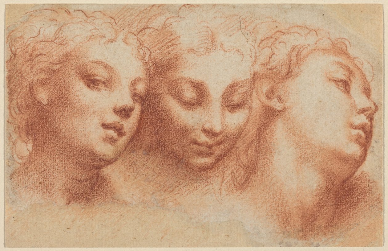 Três cabeças femininas de Parmigianino