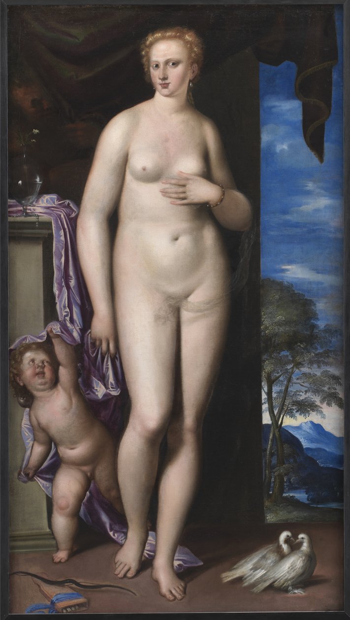 Vênus e Cupido de Parrasio Micheli
