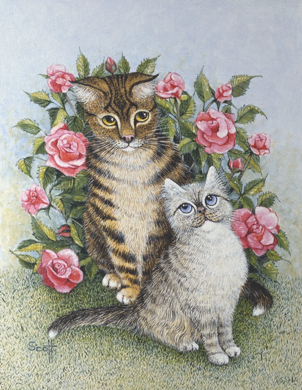 Atração (óleo sobre tela) de Pat Scott