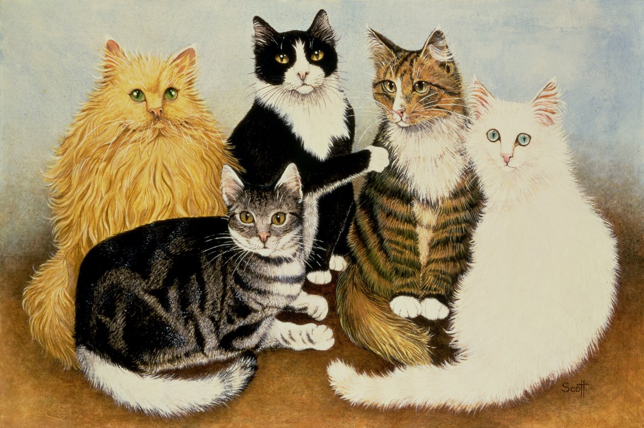 Berço do gato de Pat Scott