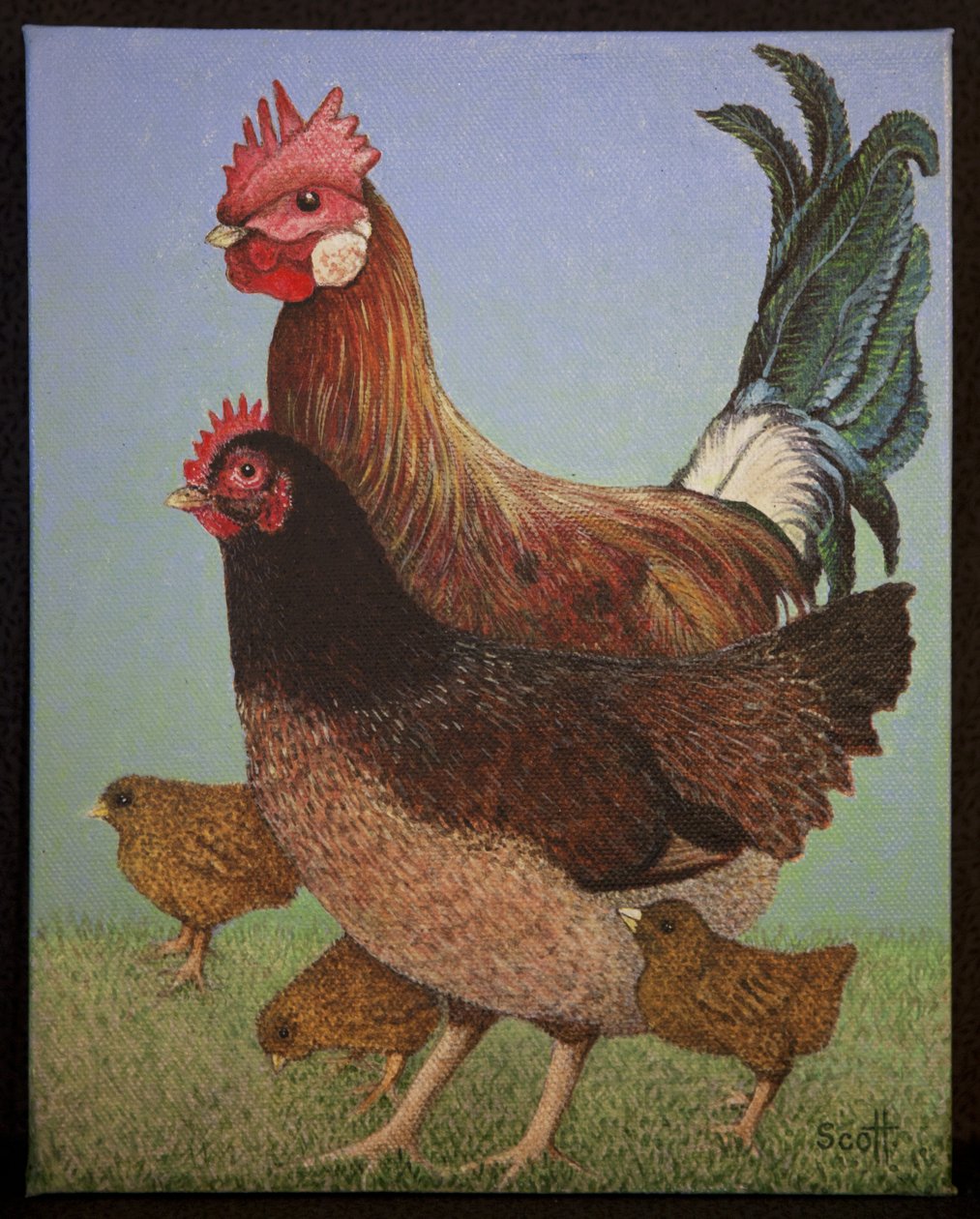 Família Chicken, 2016 de Pat Scott