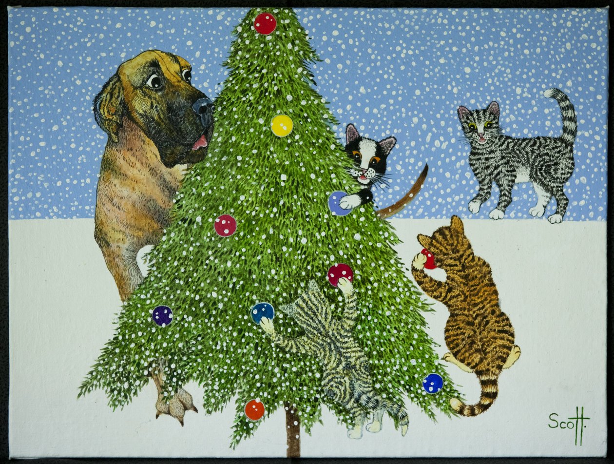 Surpresas de Natal de Pat Scott