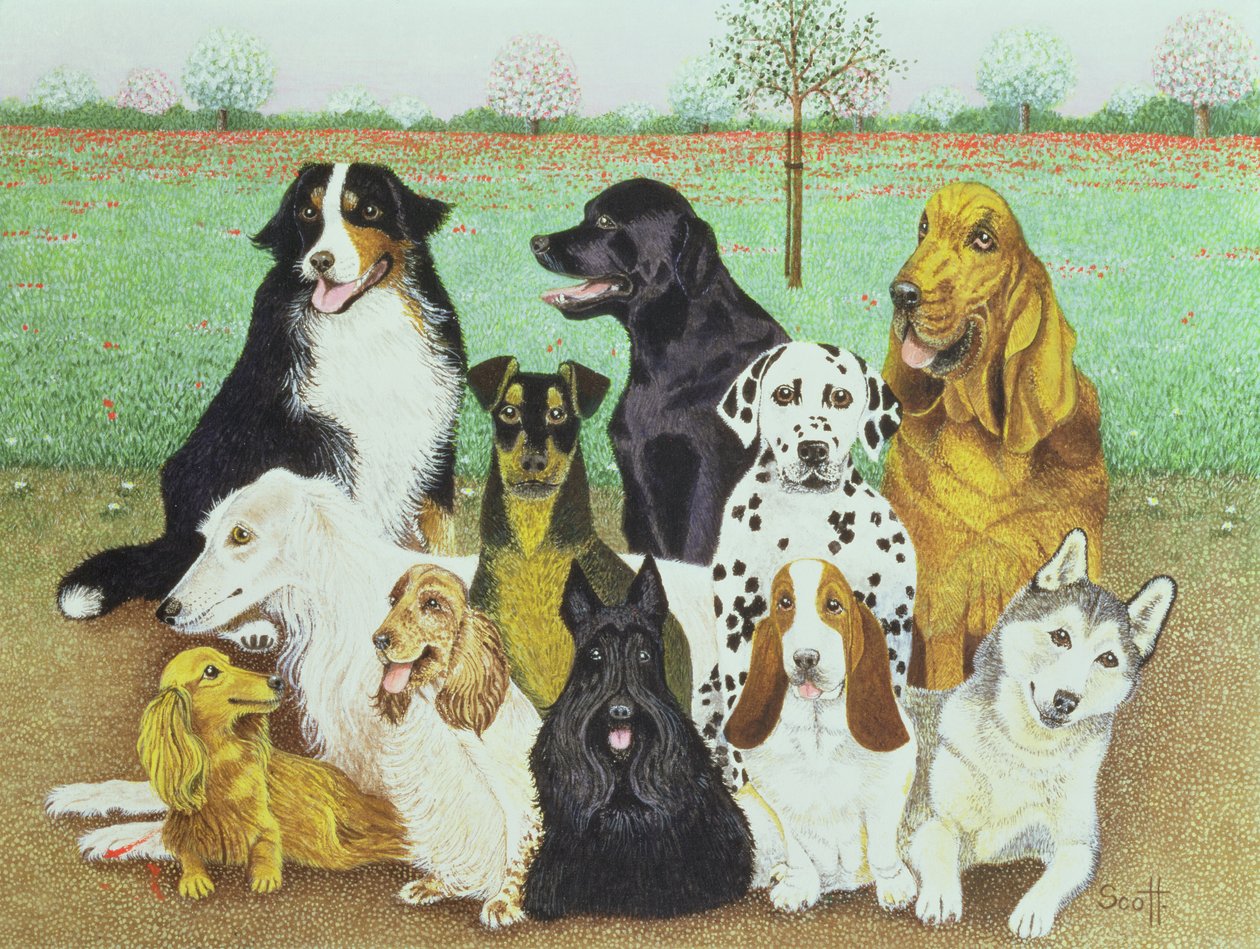 Vigilância de cães de Pat Scott