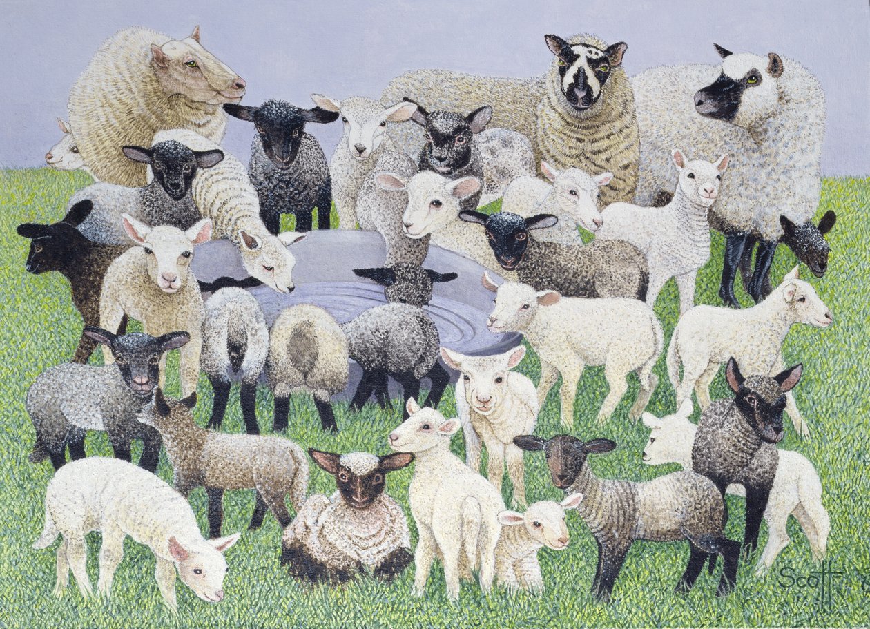 Feeling Sheepish (óleo sobre tela) de Pat Scott