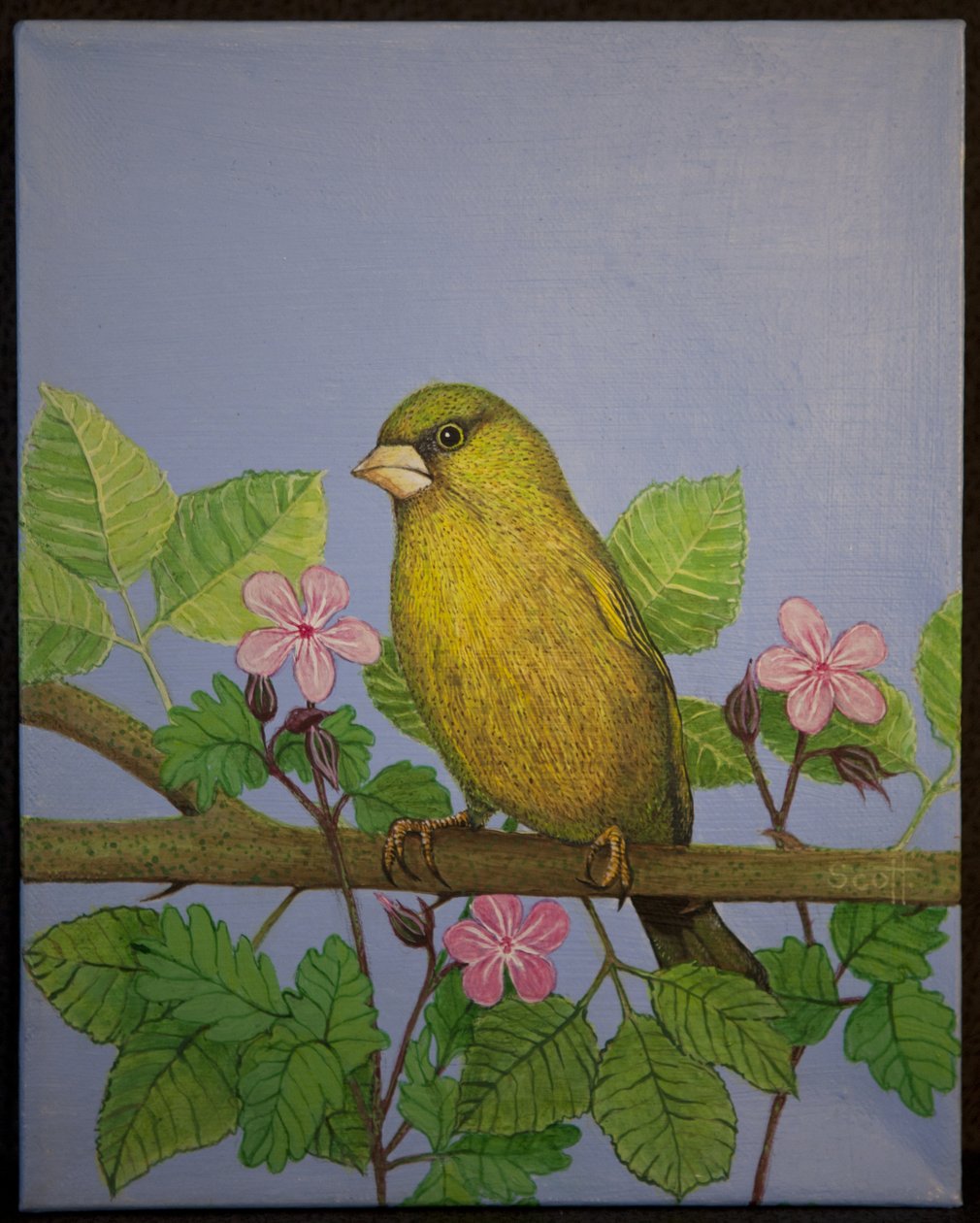 Pintassilgo, 2016 de Pat Scott