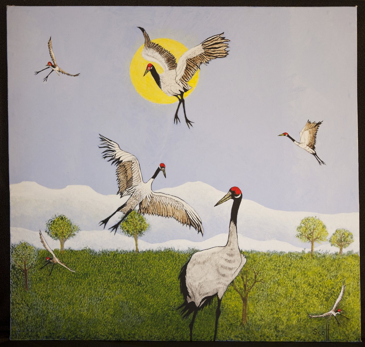 Arautos da primavera, 2016 de Pat Scott