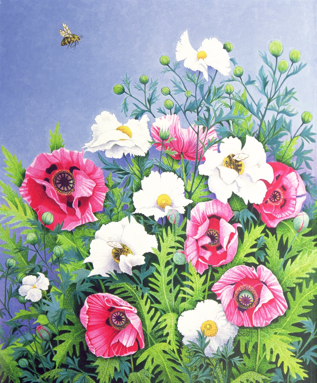 Honey Bee, Honey Bee (óleo sobre tela) de Pat Scott