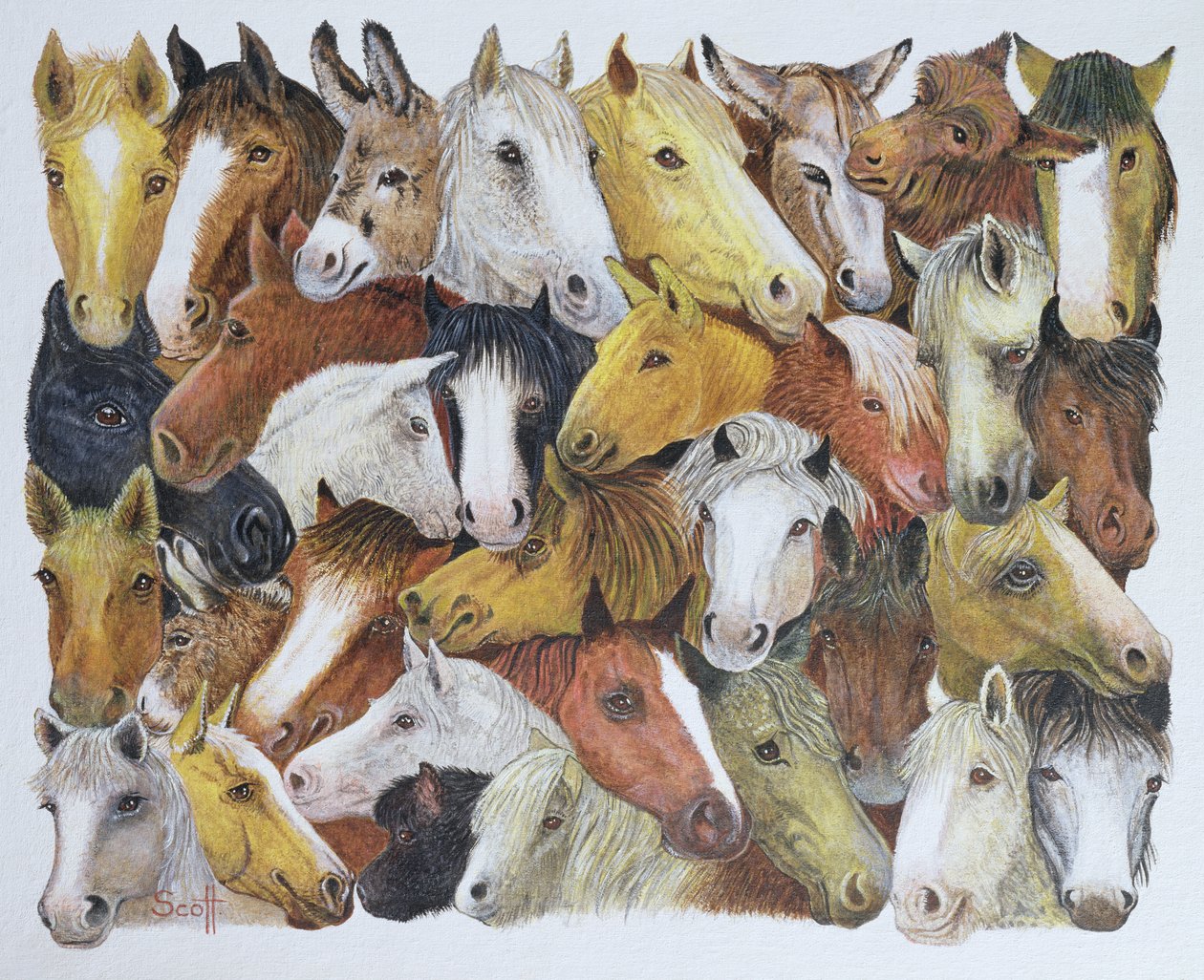 Cavalos Cavalos (óleo sobre tela) de Pat Scott