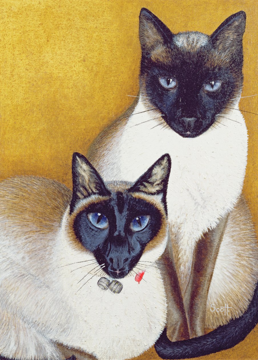 Mavis e Barnaby de Pat Scott