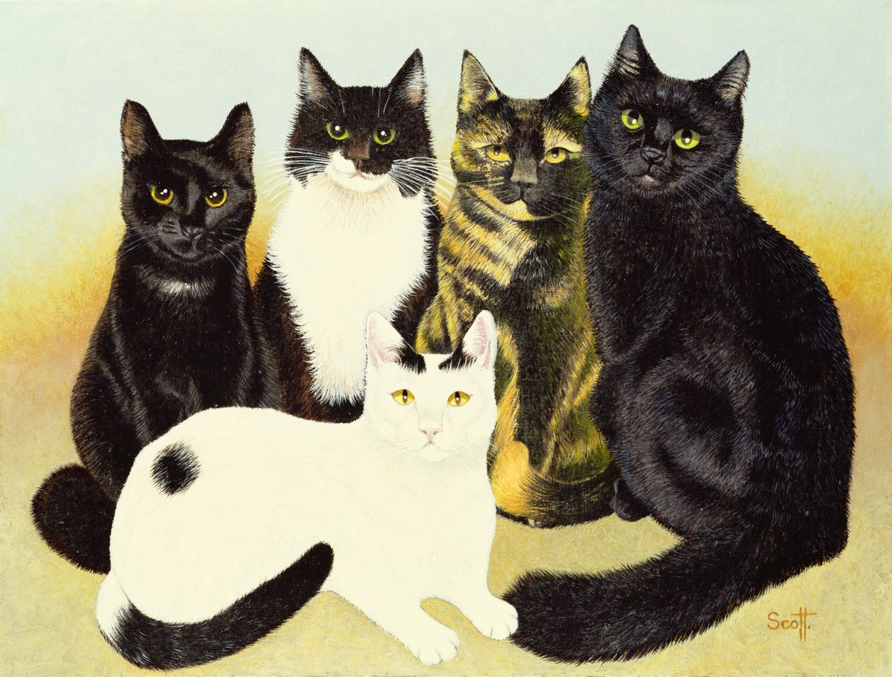 Os gatos de Miss Cox de Pat Scott