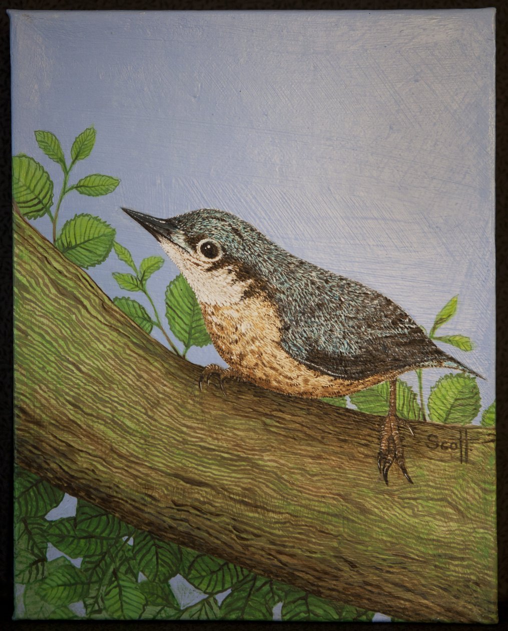 Nuthatch, 2016 de Pat Scott