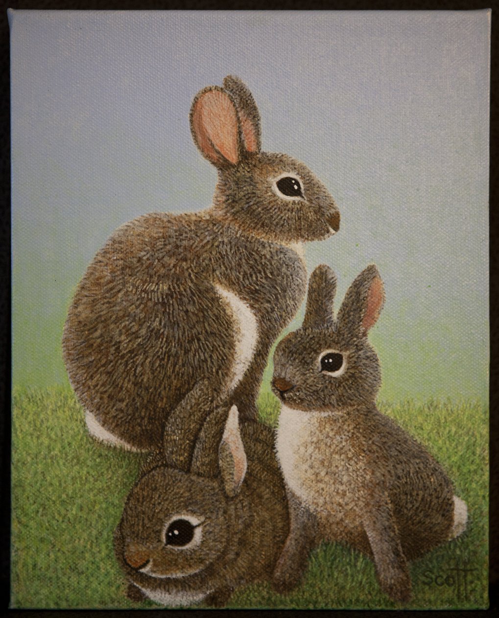 Família Rabbit, 2016 de Pat Scott