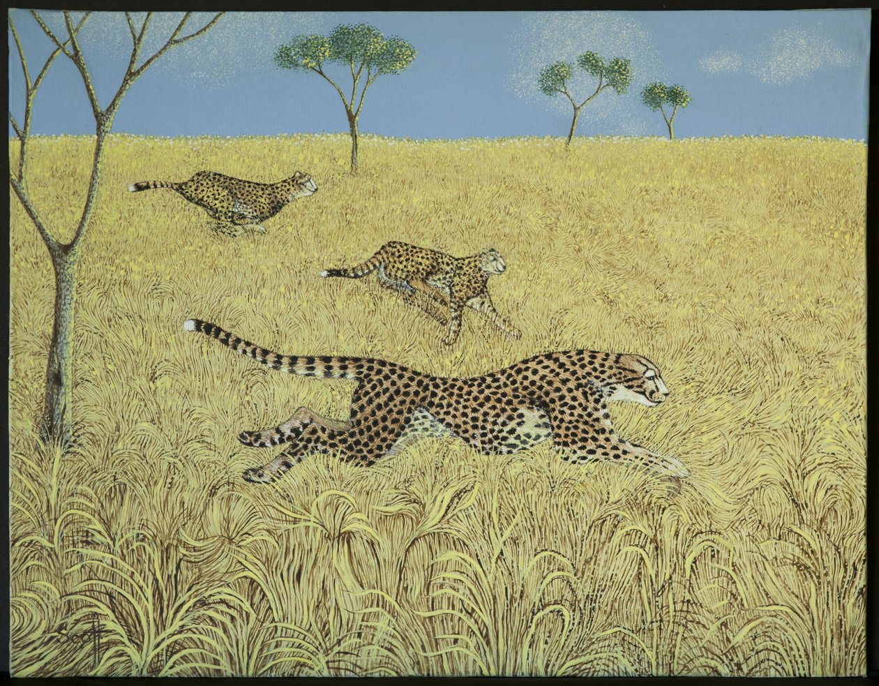 Velocidade pura de Pat Scott