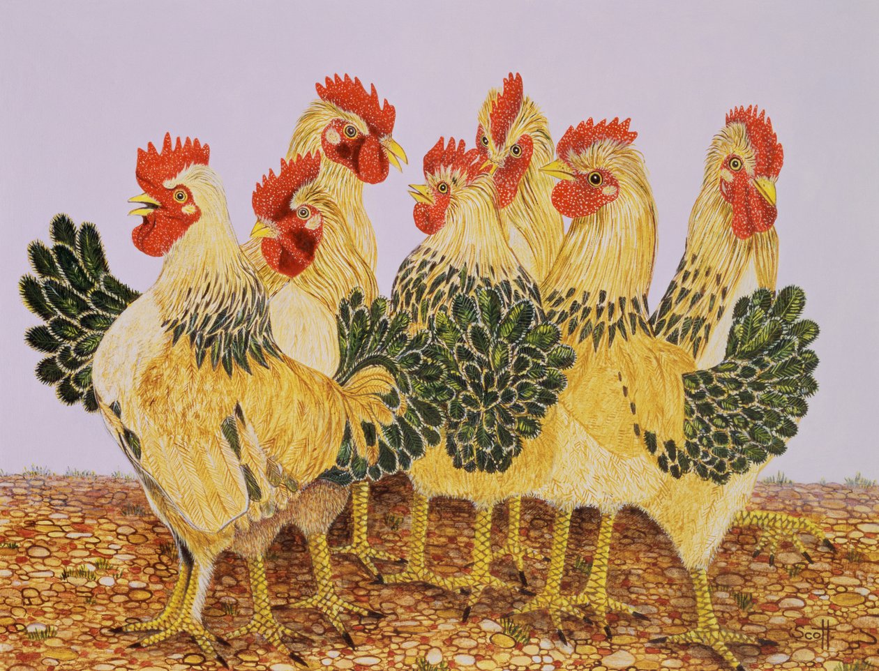 Ballet Strutters de Pat Scott