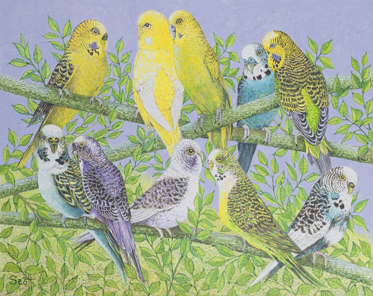 Sweet Talking (acrílico sobre tela) de Pat Scott