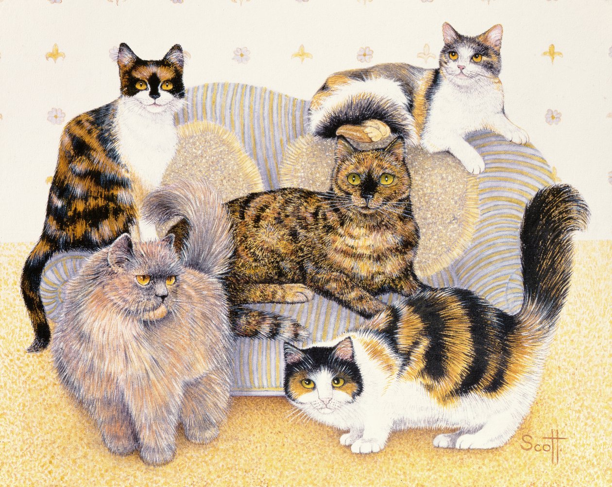 Senhoras em forma de tartaruga de Pat Scott