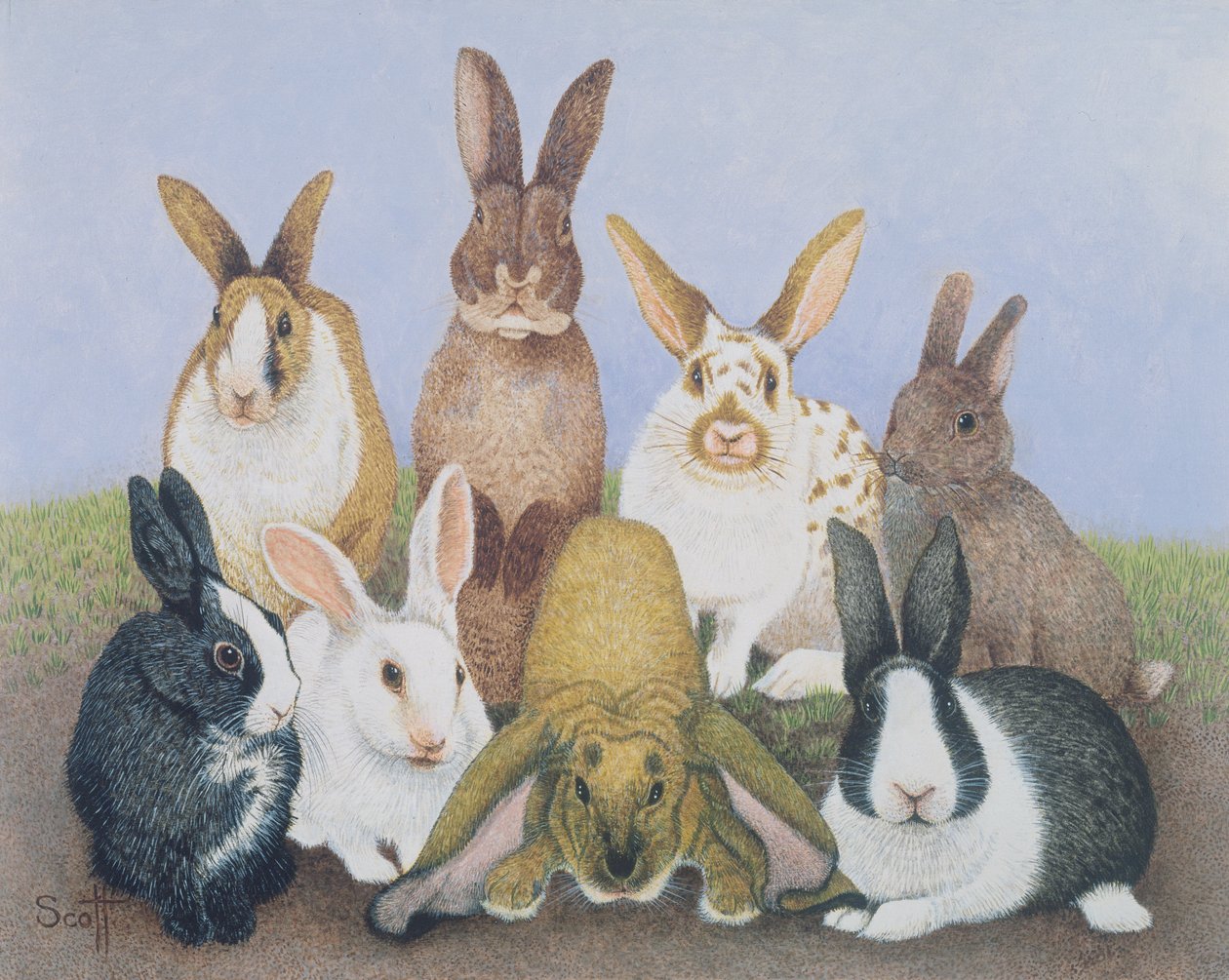 We are All Ears (óleo sobre cartão) de Pat Scott