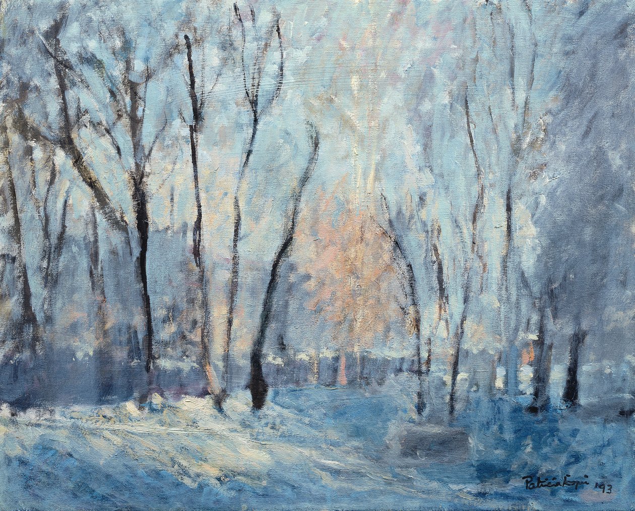 Neve no Jardim, 1993 de Patricia Espir