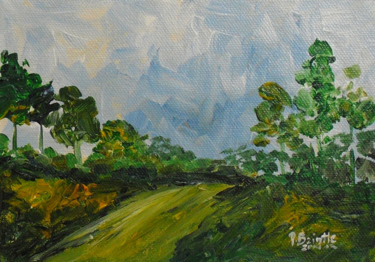 Down the hill, 2014 (acrílico sobre tela) de Patricia Brintle