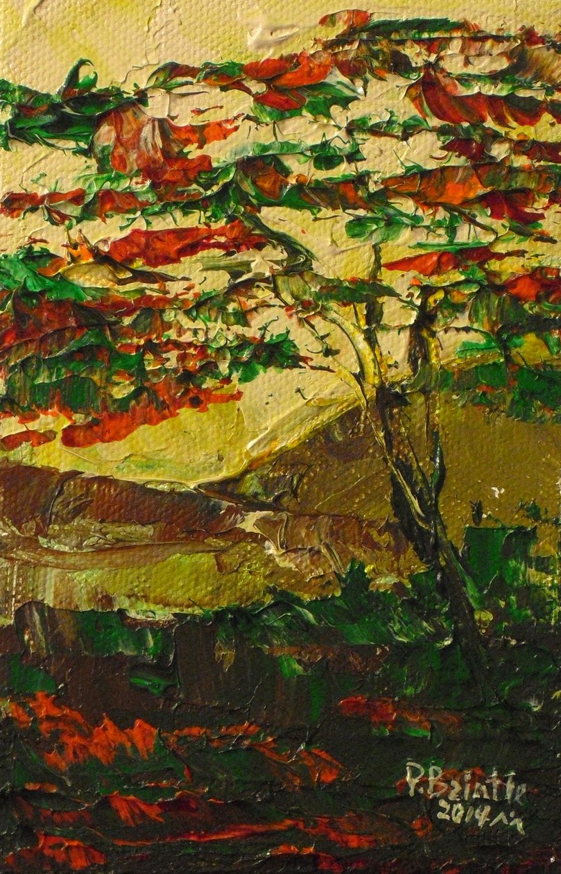 Flamboyant em flor, 2014 (acrílico sobre tela) de Patricia Brintle