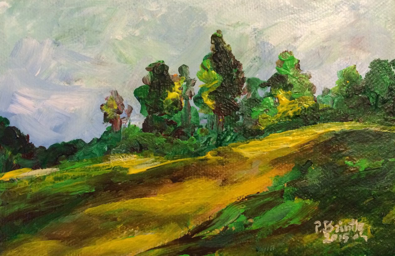 Manhã Furcy, 2015 (acrílico sobre tela) de Patricia Brintle