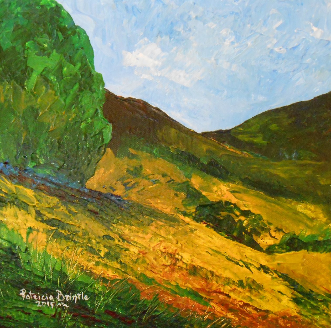 Morne La Selle, 2015 (acrílico sobre tela) de Patricia Brintle