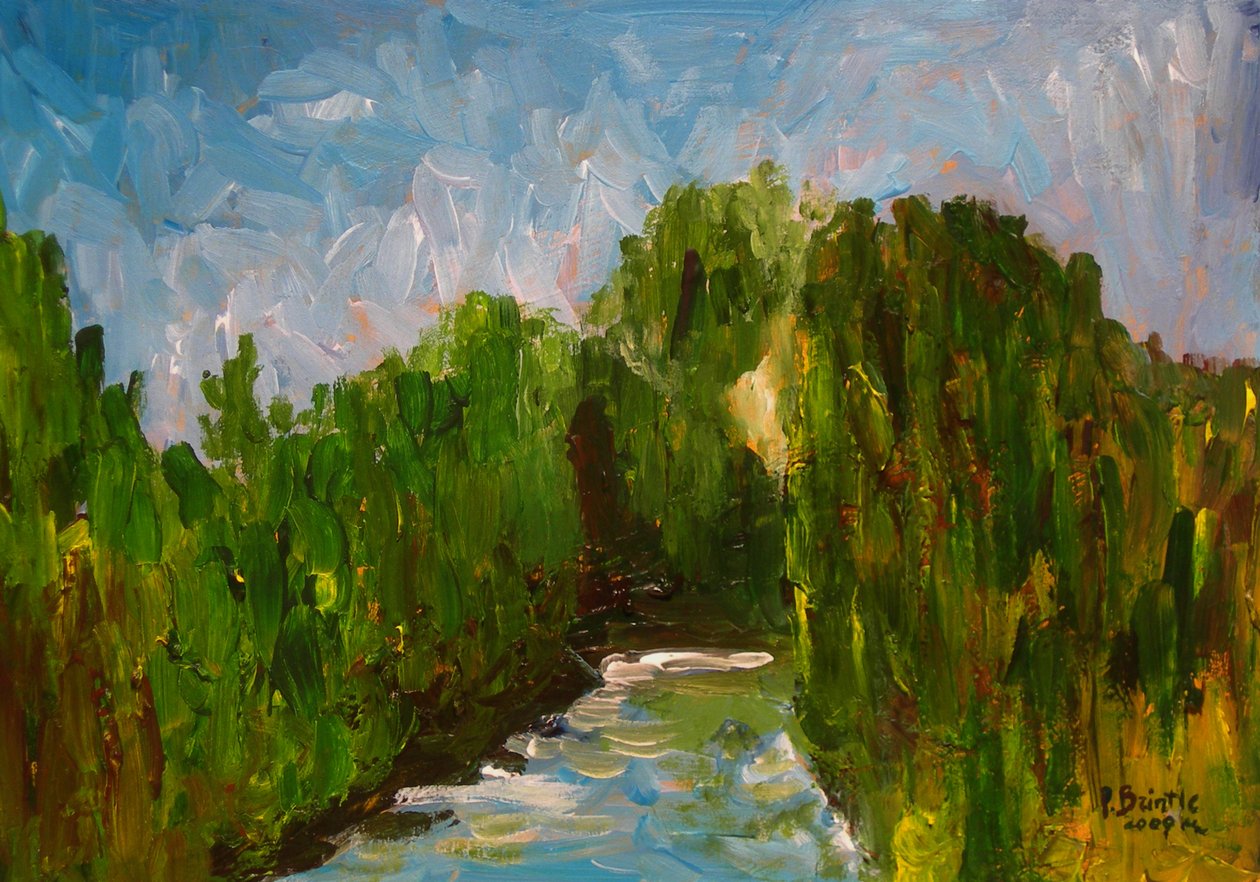 Rio sinuoso, 2009 (acrílico sobre madeira) de Patricia Brintle