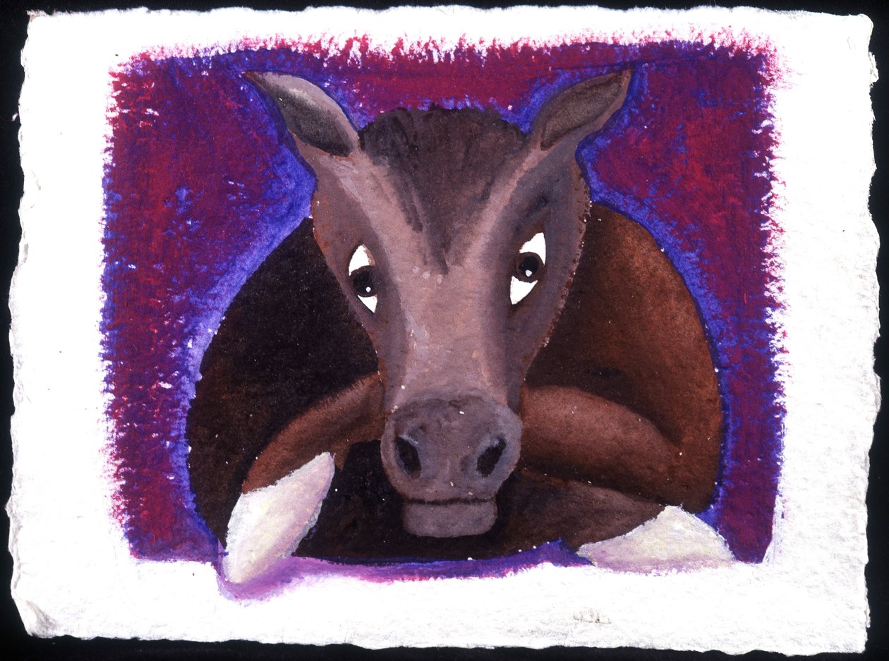 Horóscopo chinês: o signo do cavalo. de Patrizia La Porta