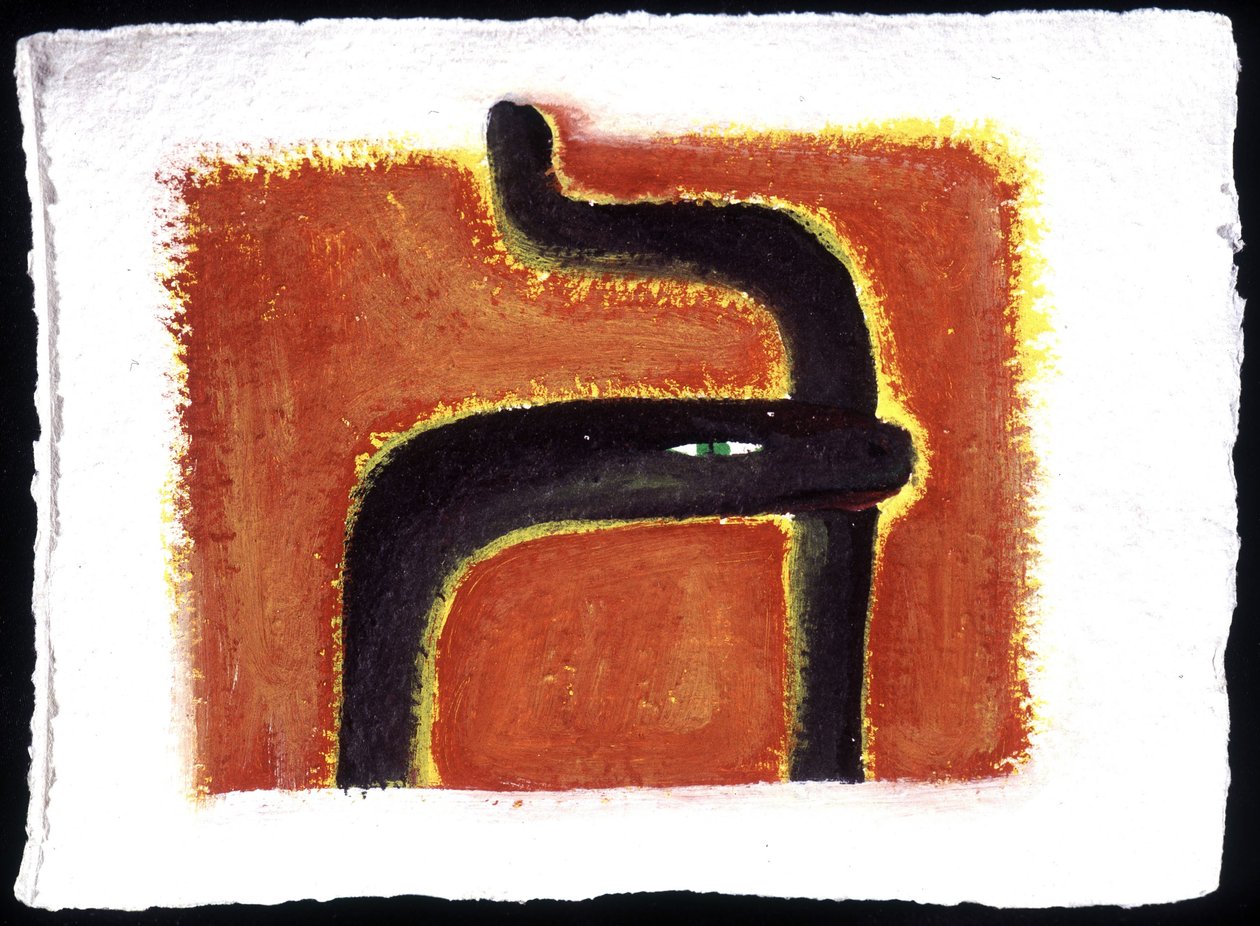 Horóscopo chinês: o signo da serpente. de Patrizia La Porta