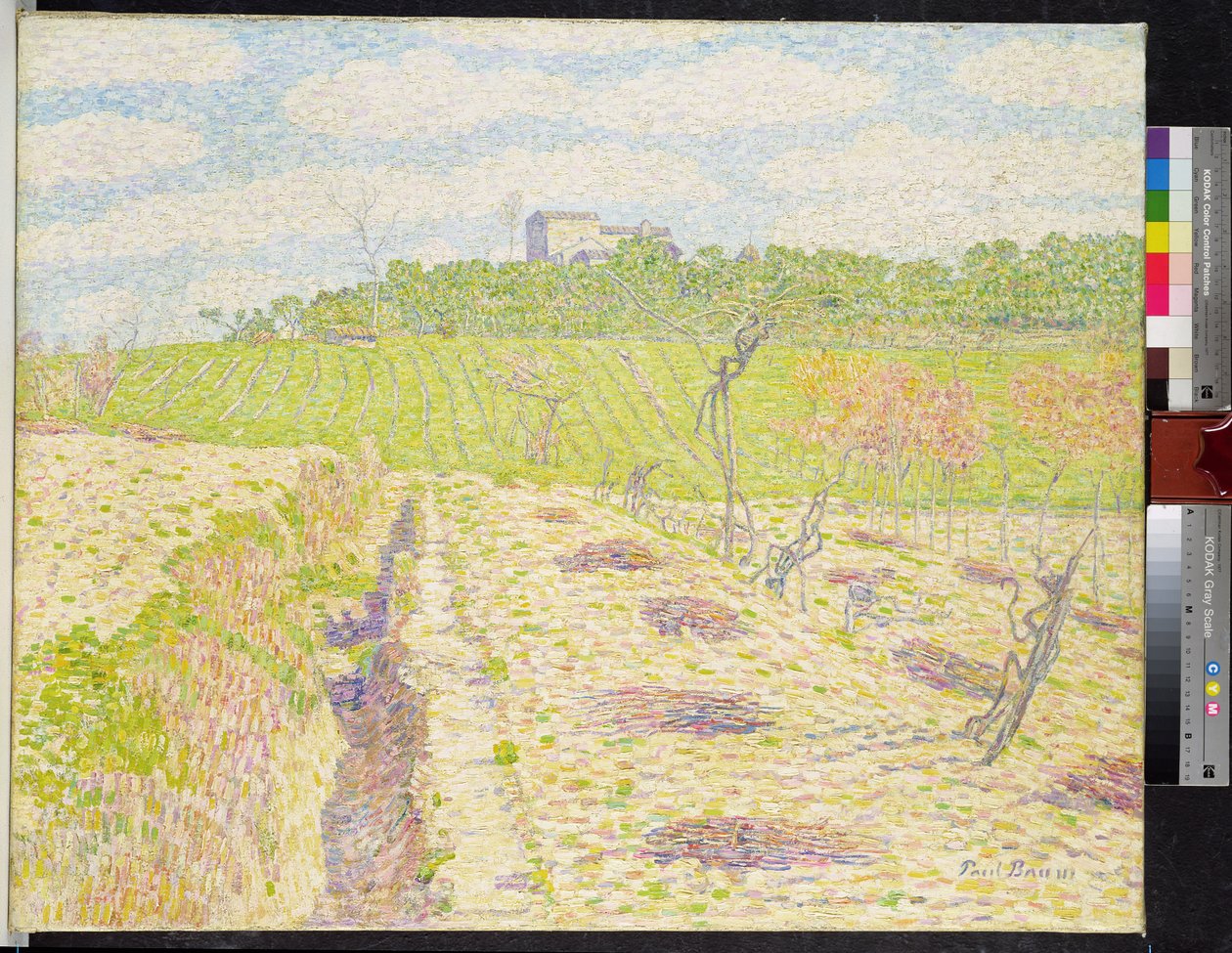 Um vinhedo toscano de Paul Baum