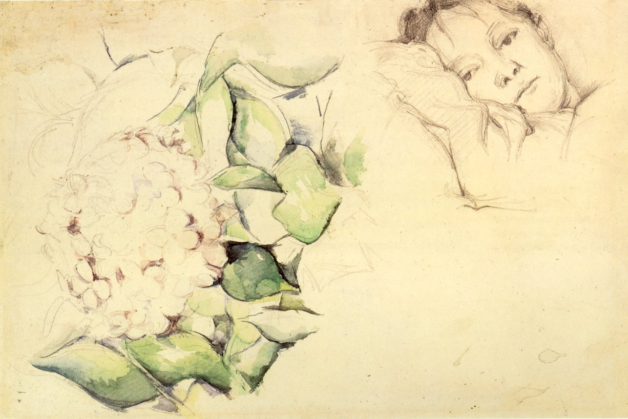 Madame Cézanne com Hortênsias de Paul Cézanne