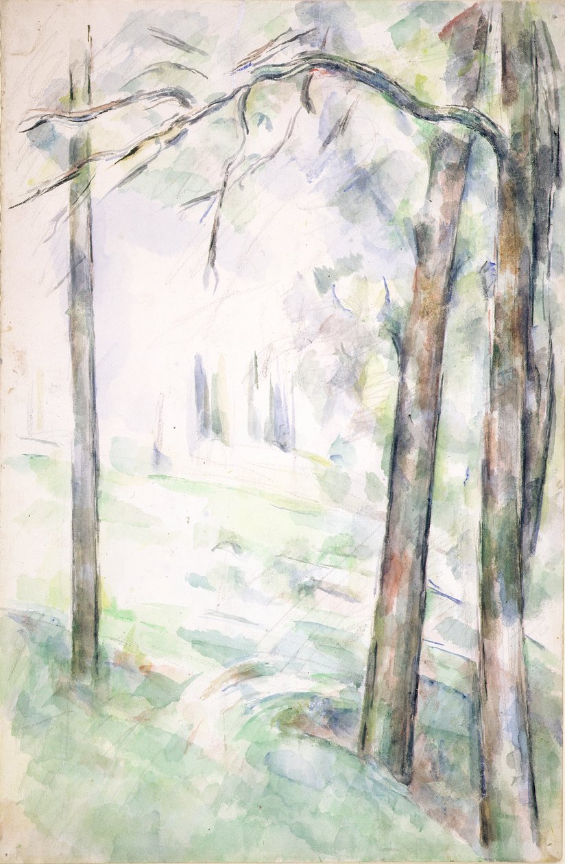 PD.6-1966r The Woods, Aix-en-Provence, c.1890 (wc e giz) de Paul Cézanne