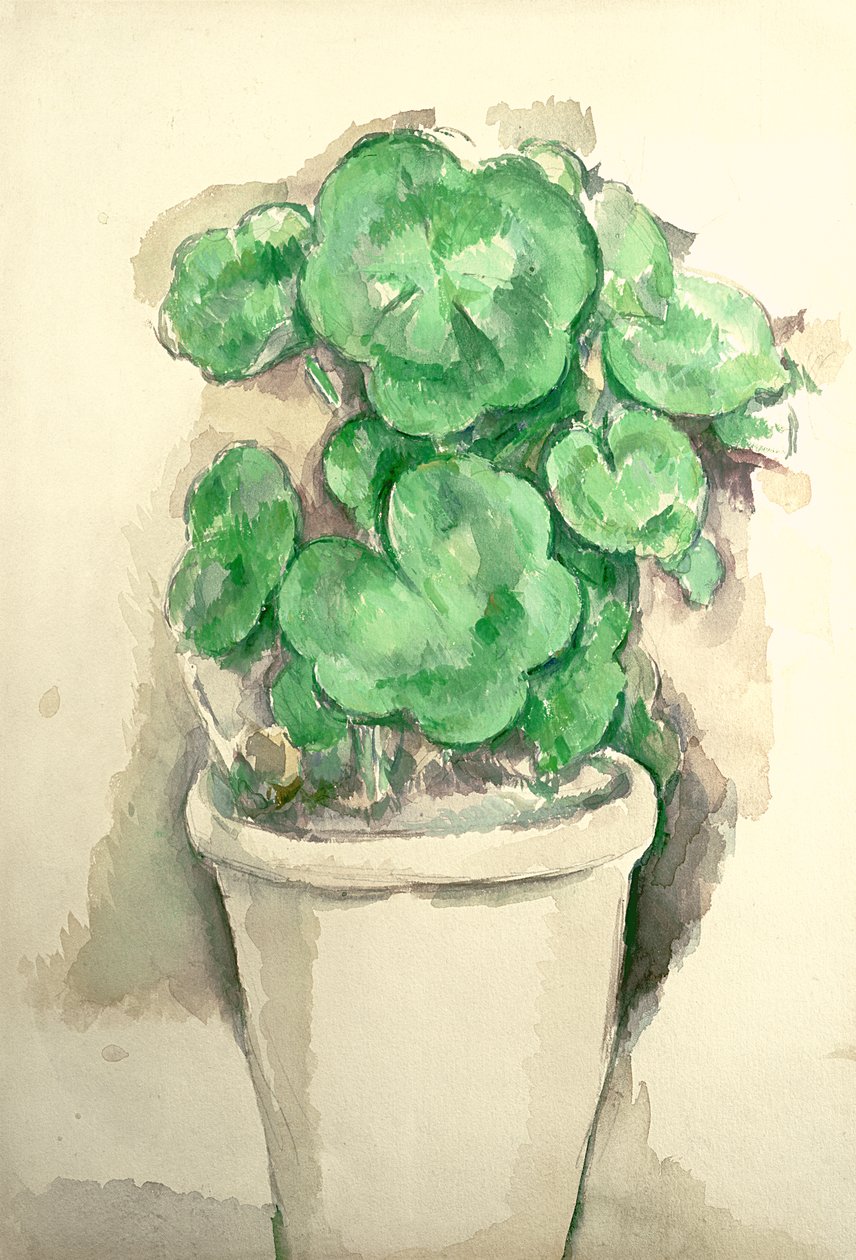 Pote de gerânios, c.1885 (lápis e papel higiênico) de Paul Cézanne