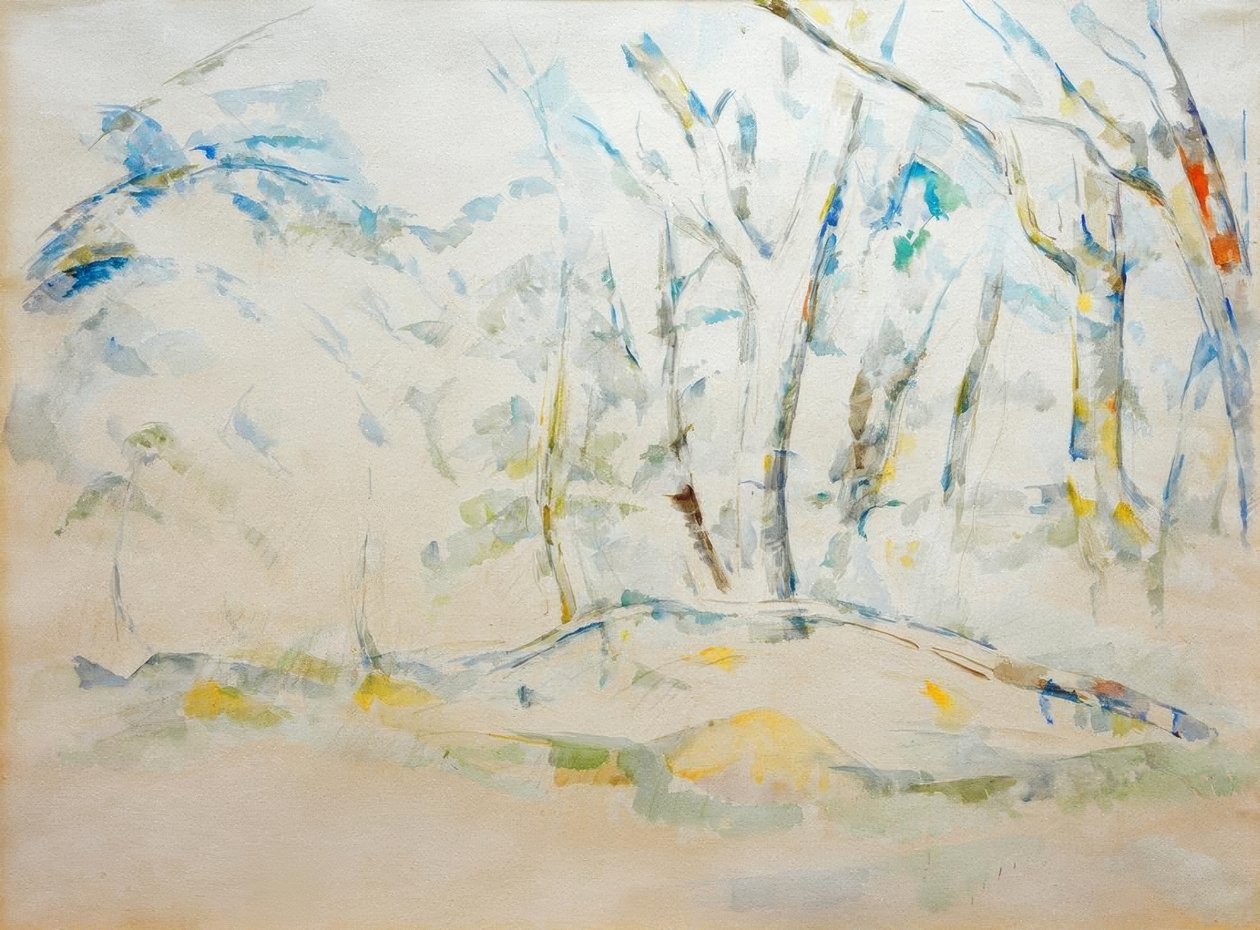 vegetação rasteira de Paul Cézanne