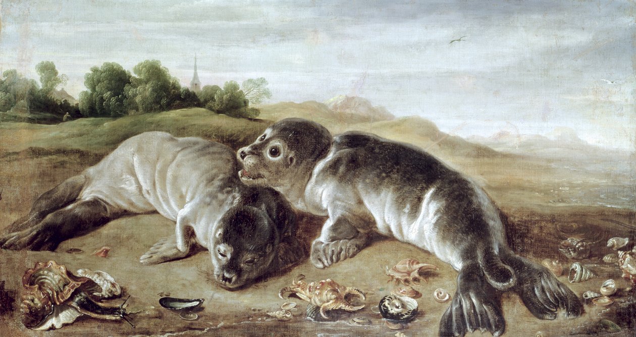 Dois, jovem, selos, ligado, a, costa, c.1650 de Paul De Vos