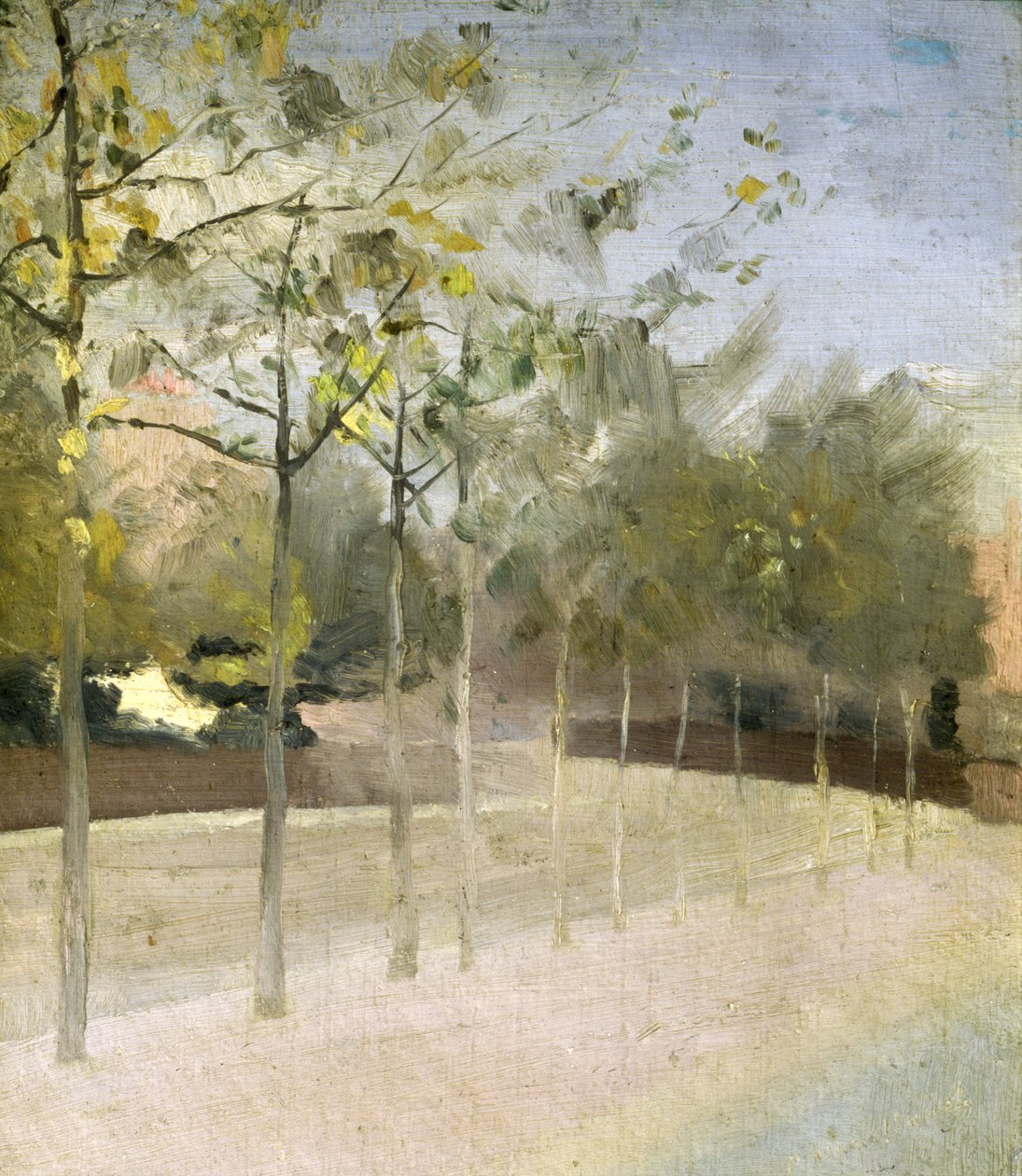 Chelsea Embankment, Plane Trees, 1908 de Paul Fordyce Maitland