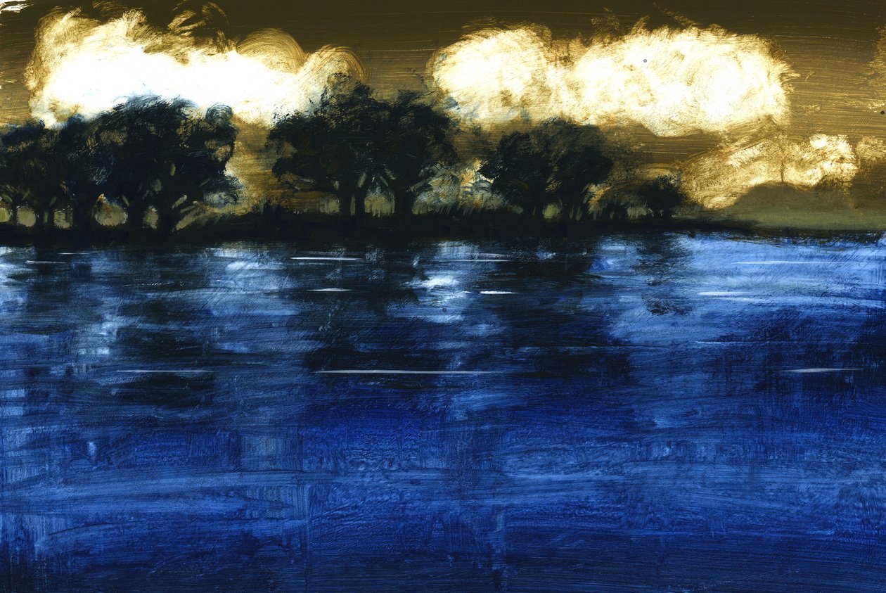 Inundação, 2009 (acrílico a bordo) de Paul Powis