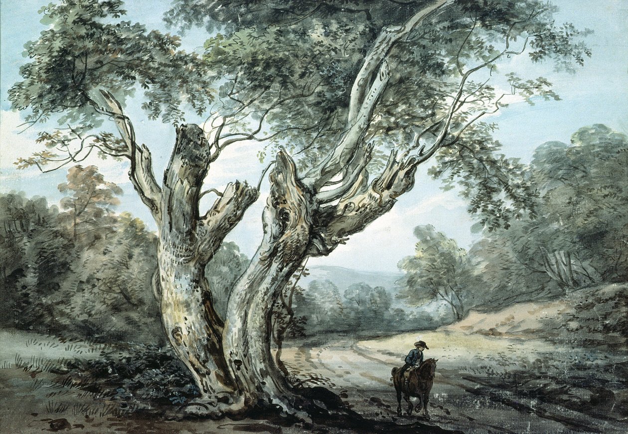 Uma estrada através da floresta de Windsor (aquarela) de Paul Sandby