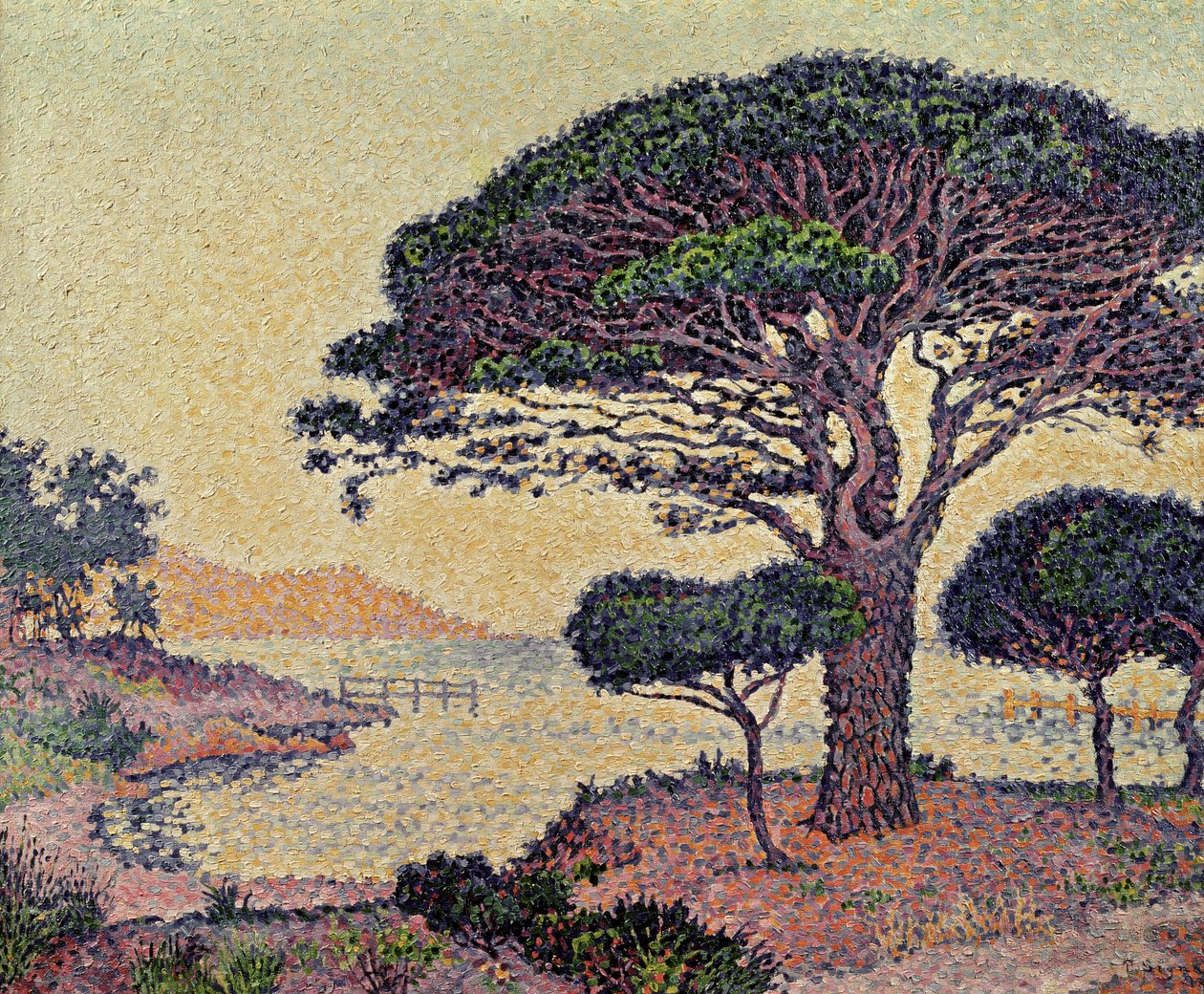 Pinheiros de guarda-chuva em Caroubiers, 1898 de Paul Signac