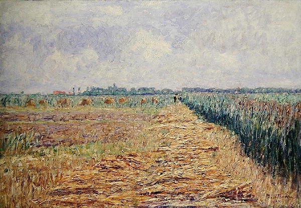 A Flat Dutch Landscape under a Summer Sky with Clear White Clouds, c.1890 (óleo sobre tela) de Paul Baum