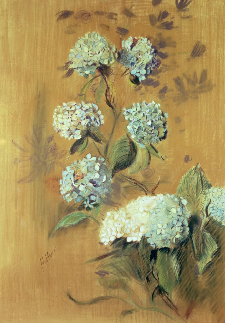 Hortênsias (pastel sobre papel) de Paul Cesar Helleu