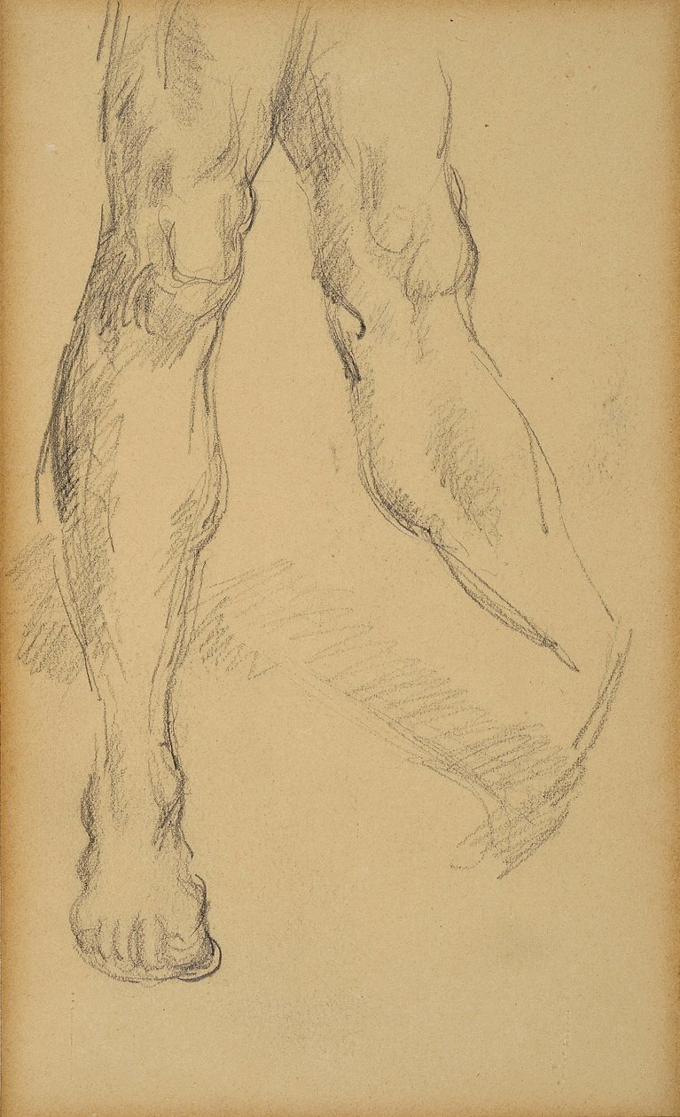 Estudo de pernas. Desenho de Paul Cezanne (1839-1906). Chumbo no papel. Diâmetro: 19,4x11,8cm. Musee Granet, Aix En Provence. de Paul Cézanne