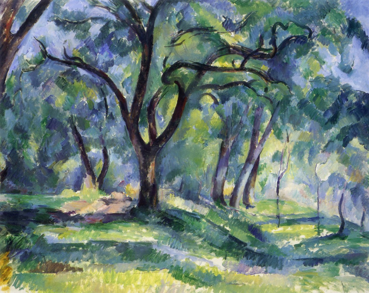 A floresta de Paul Cézanne